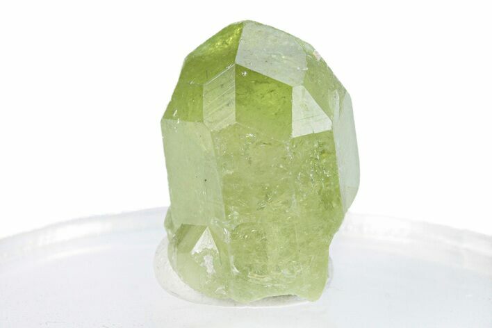 Lustrous Vesuvianite Crystal - Jeffrey Mine, Canada #287039
